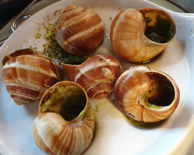 High angle view of shells in plate