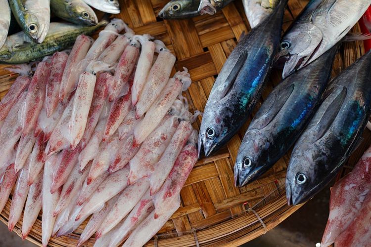 Raw exotic fish assortment with moray at asian market top view in vietnam