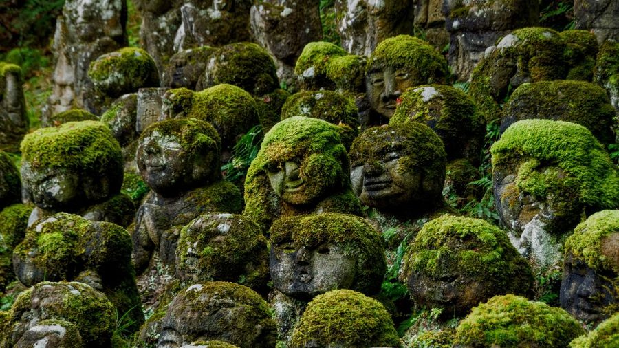 Full frame shot of statue rocks