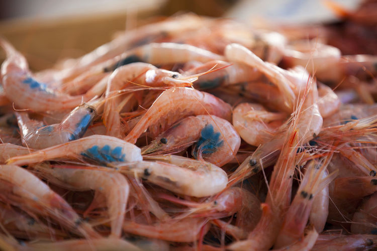 Close-up of shrimps for sale 