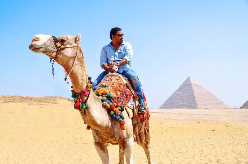 Full length of man riding camel in desert against clear sky