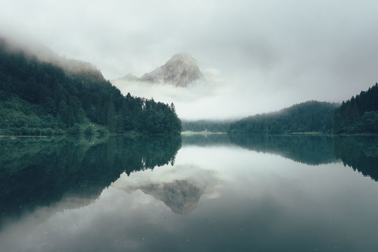 Scenic view of reflection of trees in lake