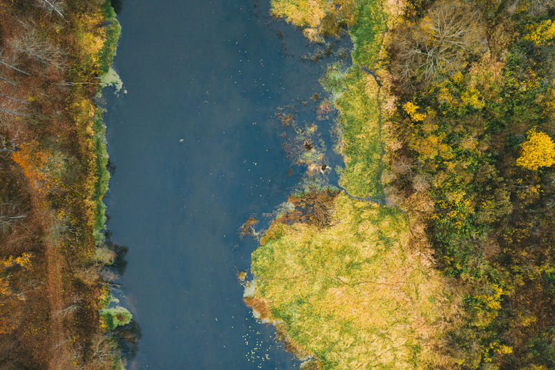Aerial drone view. small river in the mixed autumn forest.