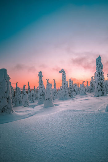Snow covered landscape against sky during sunset