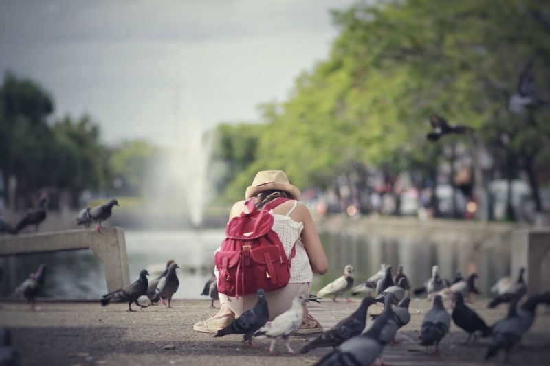 Rear view of woman crouching amidst pigeons against fountain