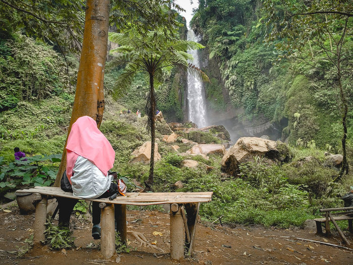 Rear view of man against waterfall in forest