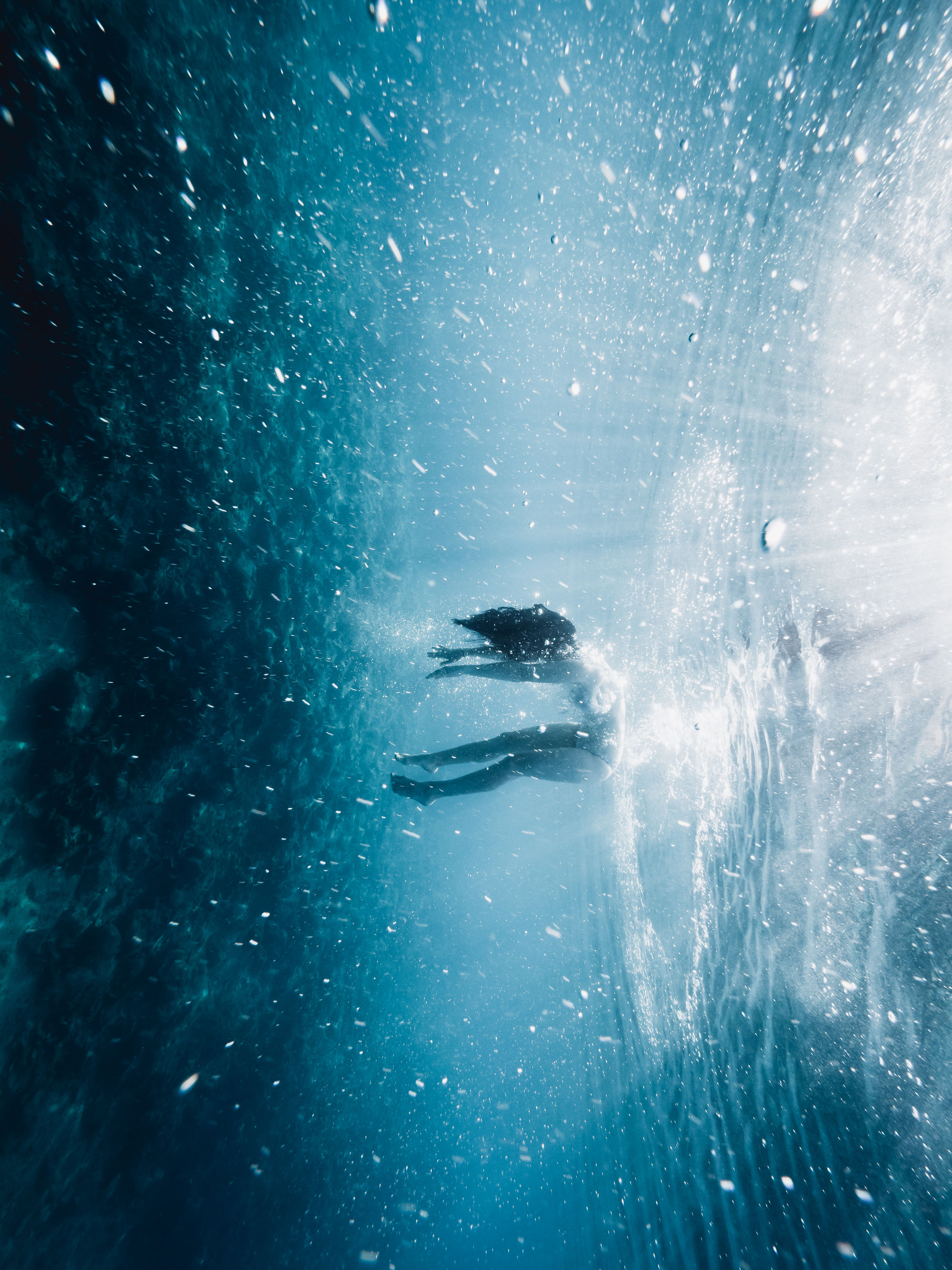 underwater, sea, water, swimming, undersea, animals in the wild, sea life, nature, animal themes, animal, animal wildlife, one animal, marine, vertebrate, blue, fish, day, low angle view, outdoors, no people