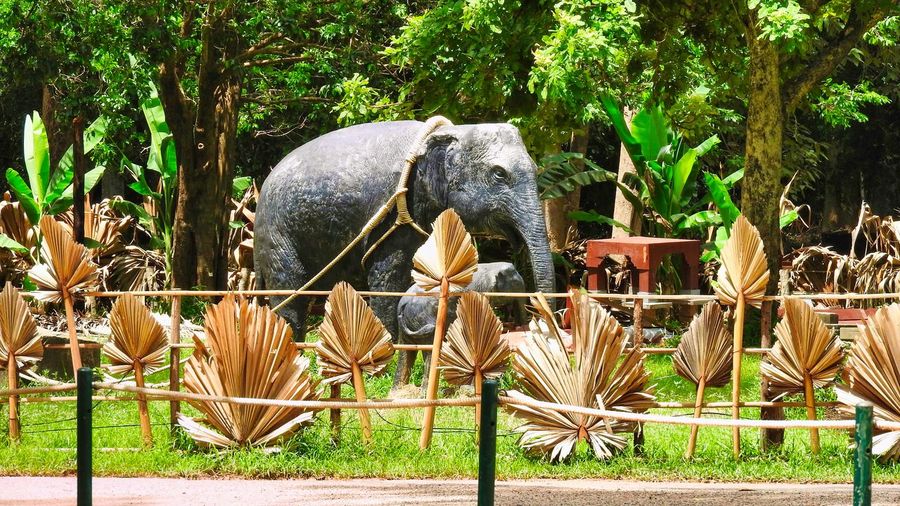 zoo