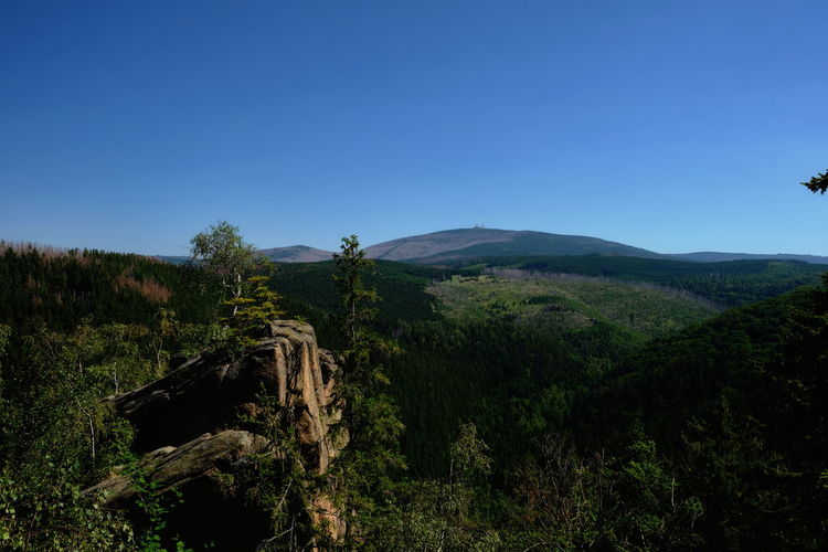 Scenic view of landscape against clear blue sky