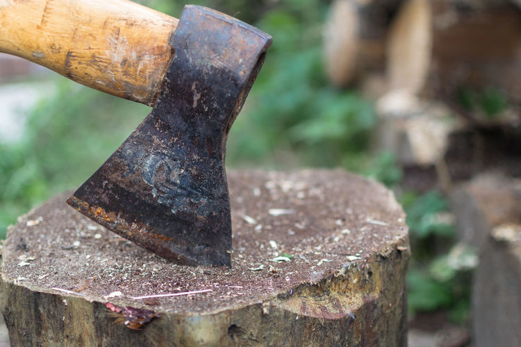 Close-up of hatchet on tree stump