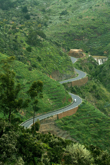 High angle view of winding road amidst trees against sky
