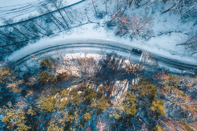 Aerial view of tree during winter