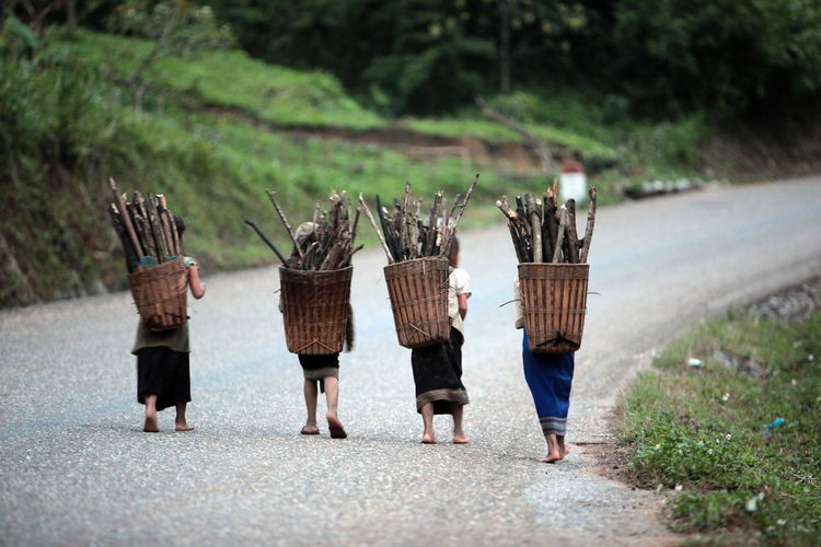 Rear view of women carrying firewood in basket on road
