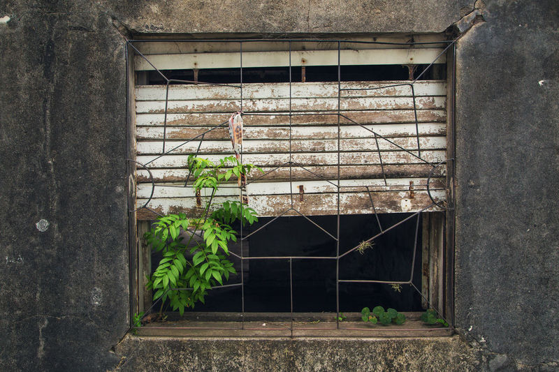 Window of abandoned building