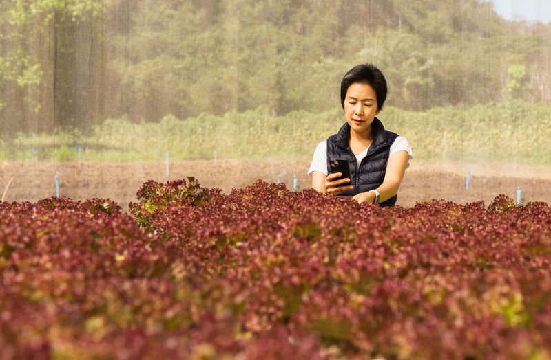 field