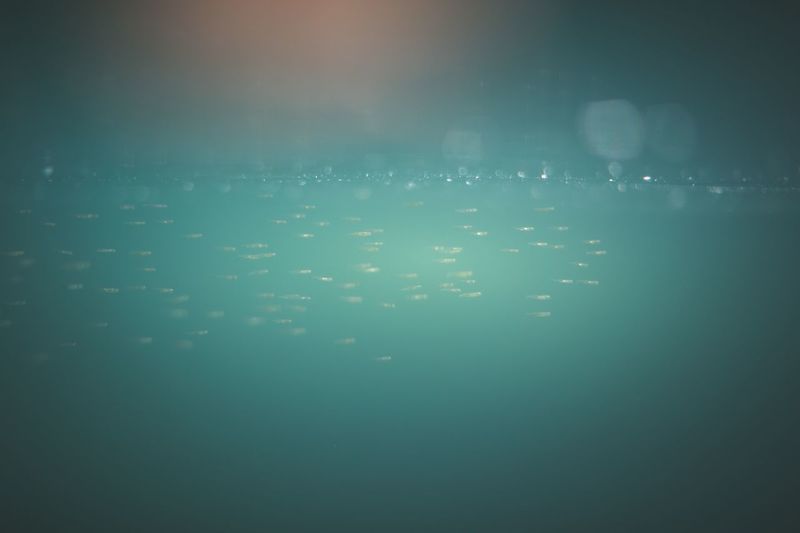 Reflection of sky in sea
