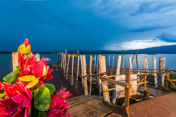 Flowers by bamboo bridge and phayao lake against cloudy sky at dusk