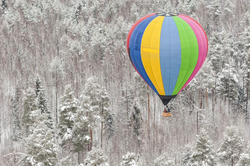 Multi colored hot air balloon flying over forest during winter