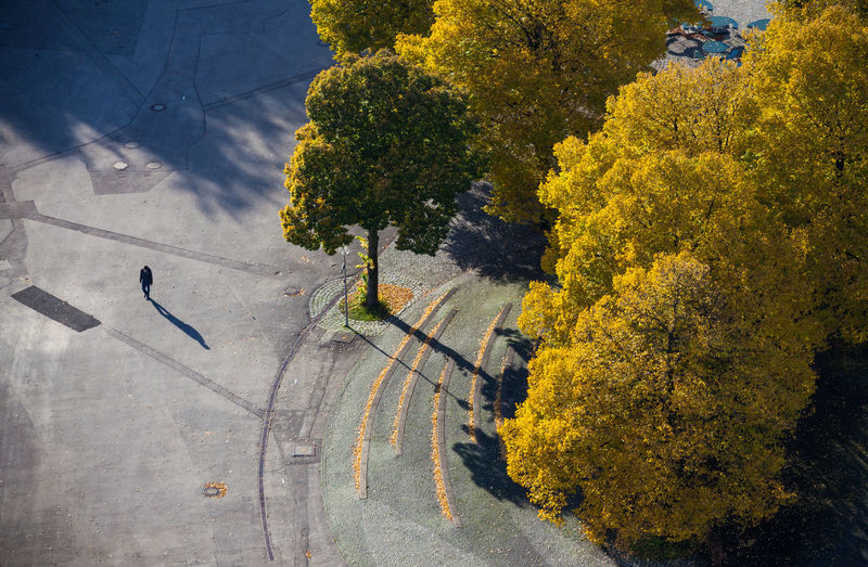 High angle view of trees at park during autumn