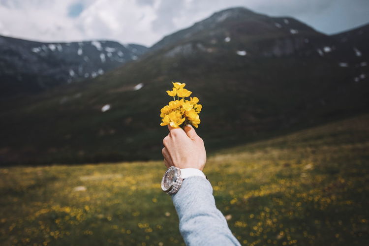 Man holding yellow flower on mountain