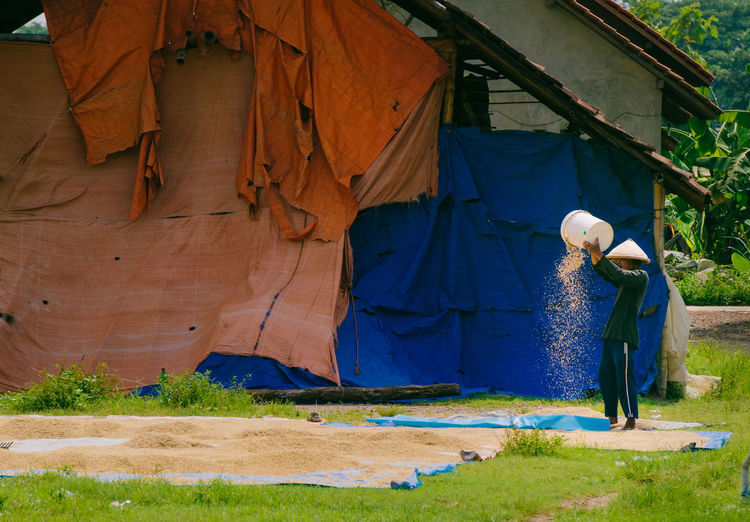 Side view of farmer drying rice on farm