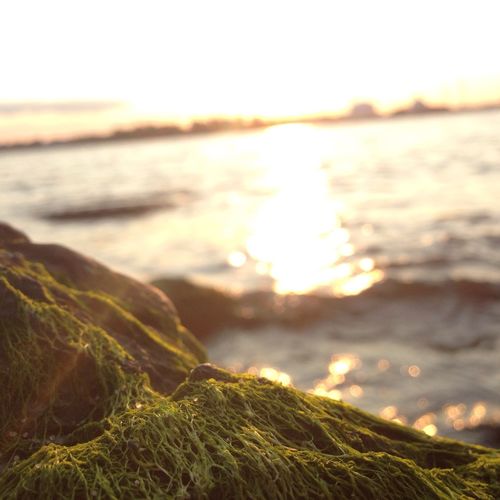 Scenic view of sea at sunset
