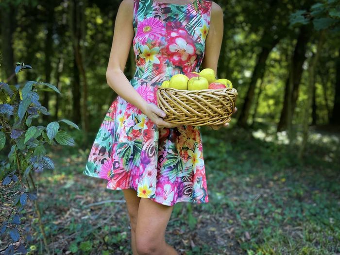 Young woman in a dress holding a wooden basket with red and golden apples