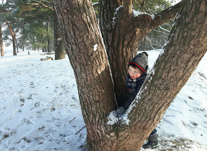 Portrait of person on tree trunk during winter