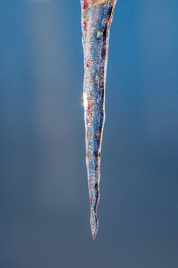 Close-up of icicles during winter