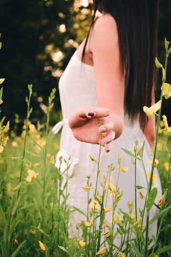 Midsection of woman holding flowering plant on field