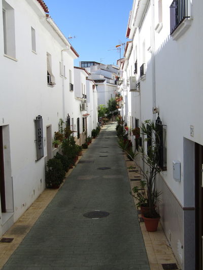 Narrow alley amidst residential buildings