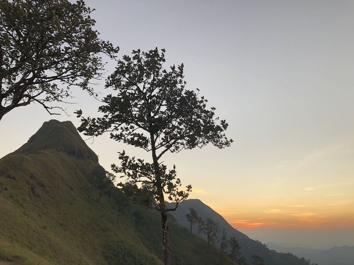 mountain