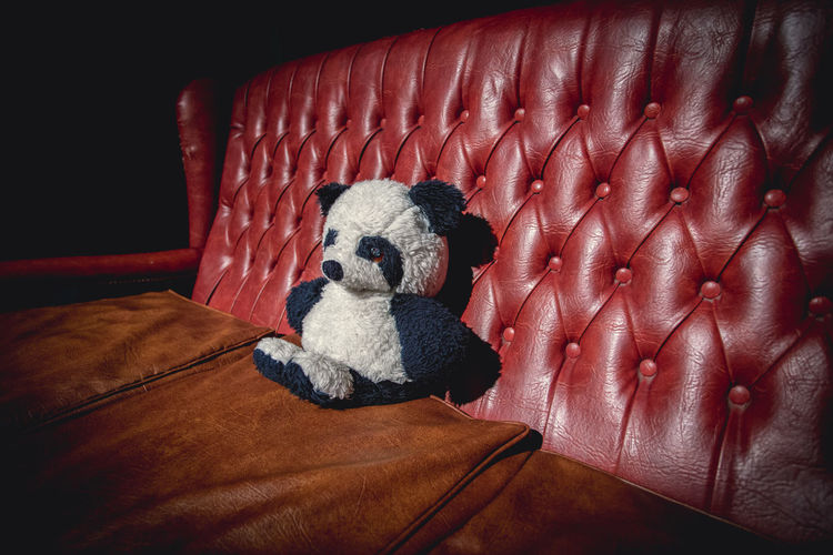 Toy animal on sofa at home