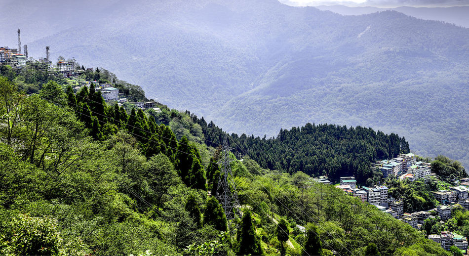 Panoramic view of trees and mountains against sky