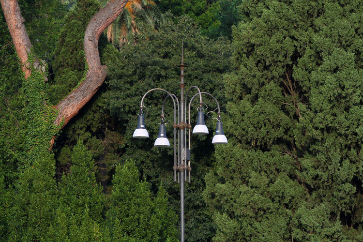 Typical street lamps in rome, in the background the vegetation of villa borghese.