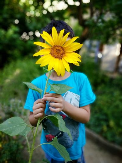 Boy covering face with blooming sunflower