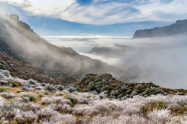 Scenic view of mountains against sky.  a rare frost in big bend national park - texas