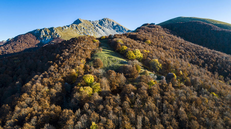 Aerial view of monte terminillo in italy. beautiful autumn landscape of the beech forest in italy..
