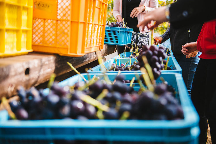 Midsection of people standing by crates with grapes