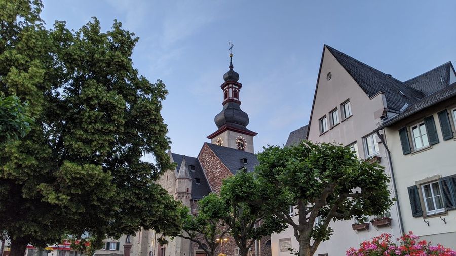 Low angle view of trees and buildings against sky