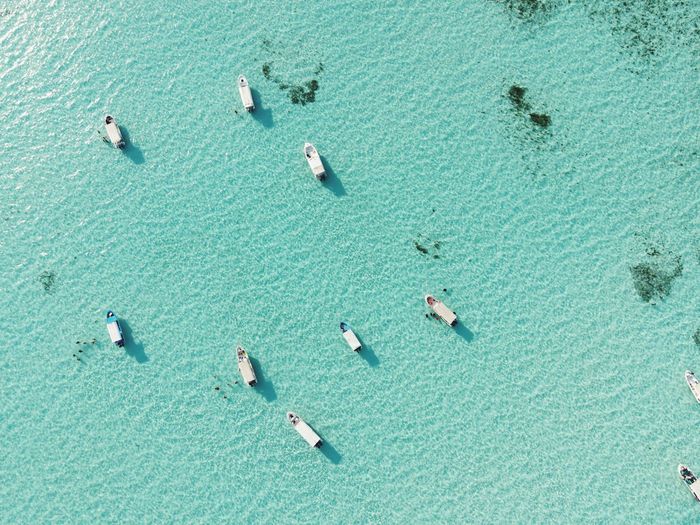High angle view of group of people swimming in sea