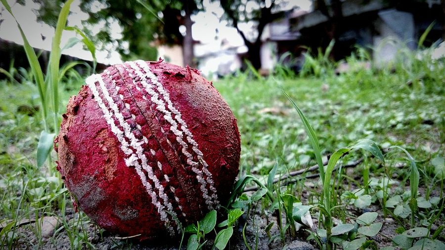 Close-up of weathered cricket ball on field