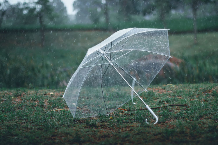 Close-up of raindrops on the grass with umbrella