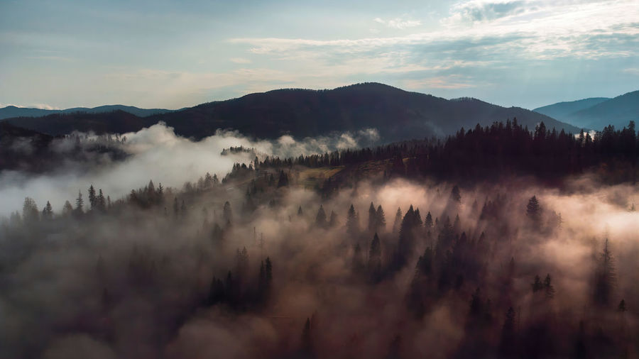 Fog over the coniferous forest. mountains in ukraine. scenic view of mountains against sky sunset. 