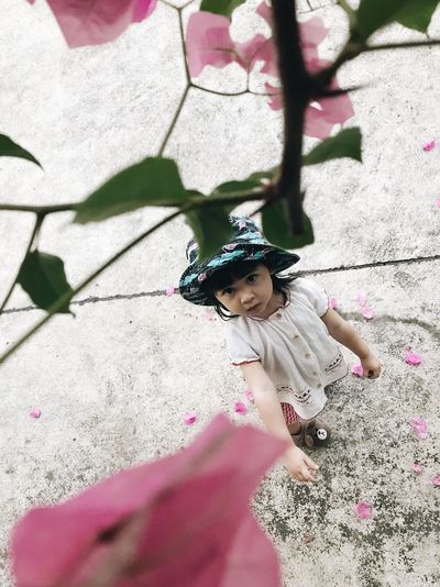 High angle view of pink flowers against baby girl standing on footpath