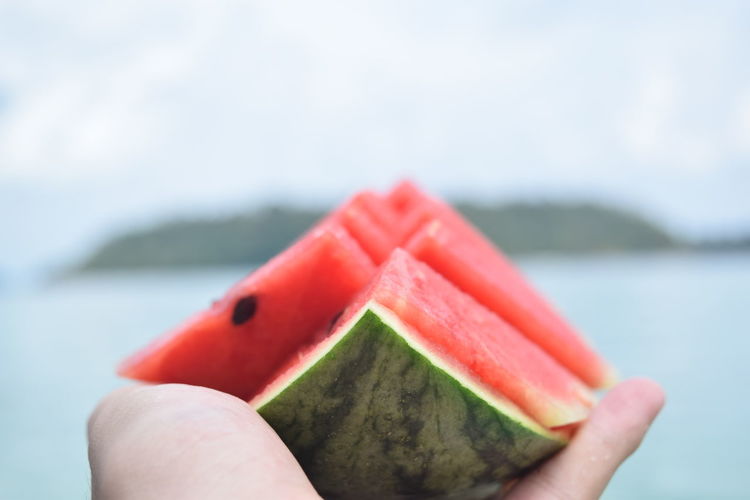Close-up of hand holding watermelon