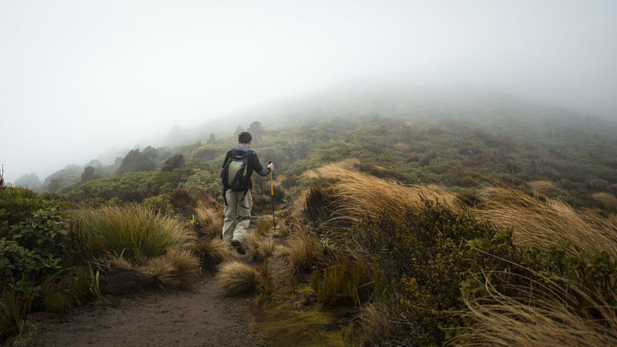 Rear view of man walking on trail on field