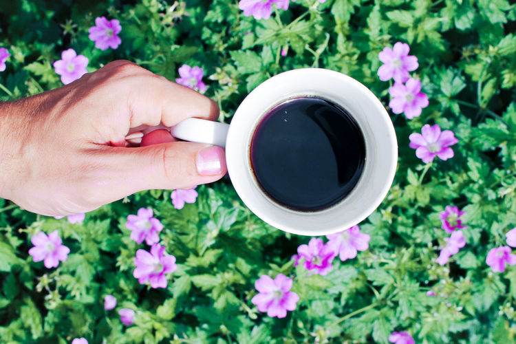 Cropped hand holding coffee cup over flowers and plants
