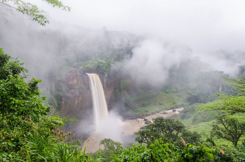 Scenic view of ekom waterfall in foggy rainforest of cameroon, africa