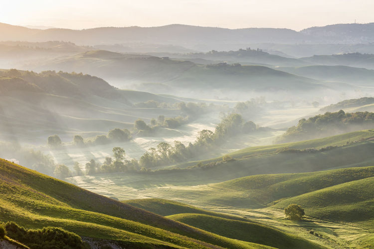 Valley with dawn mist in a rolling rural landscape